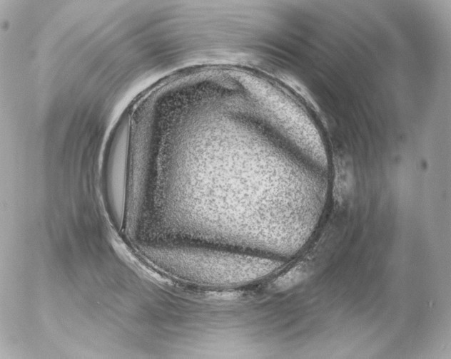 X0000052651080200507221835