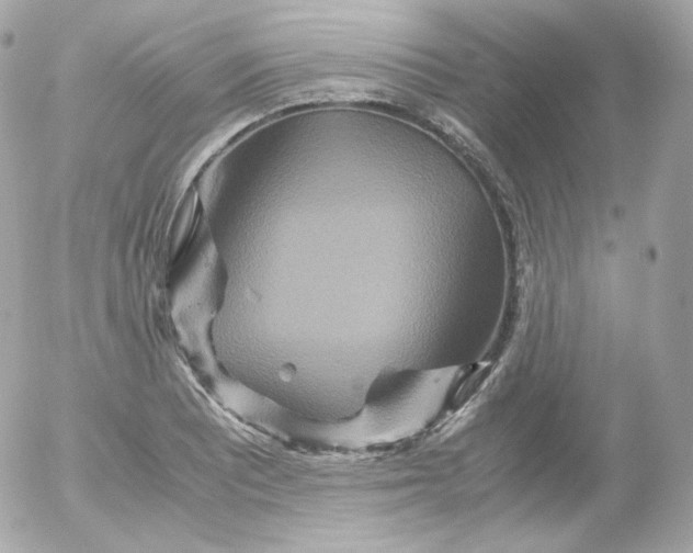 X0000052651081200507221835