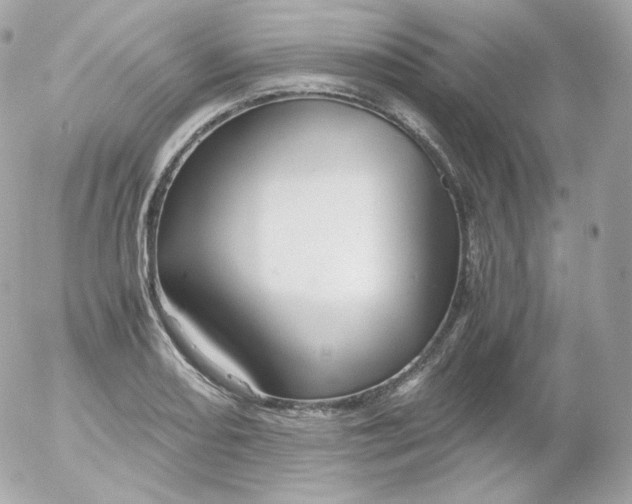 X0000052651082200507221835