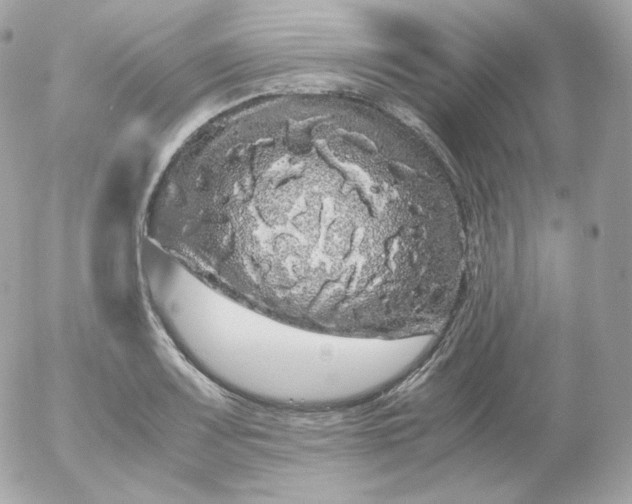 X0000052651083200507221835