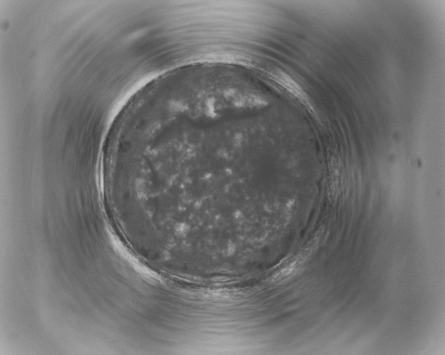 X0000052651084200507221835