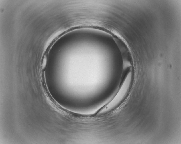 X0000052651085200507221835