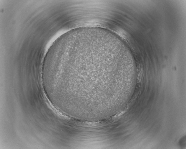 X0000052651086200507221835