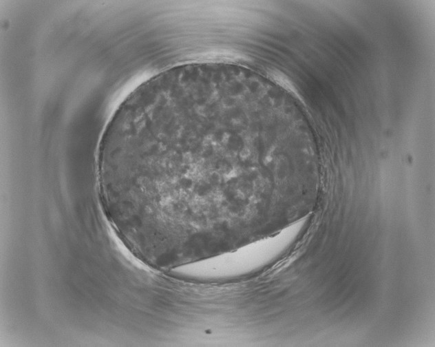 X0000052651087200507221835