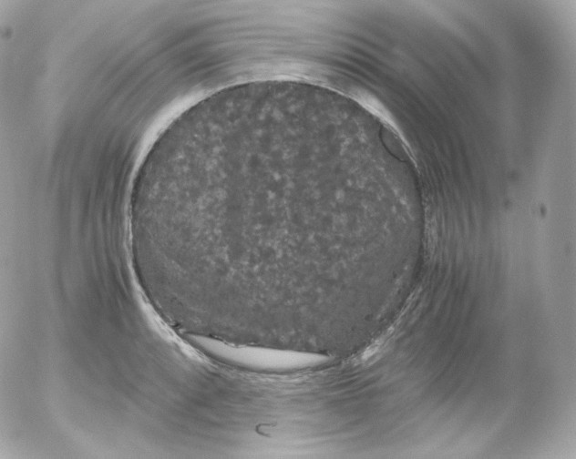 X0000052651088200507221835