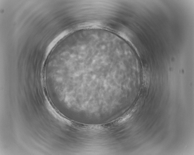 X0000052651090200507221835