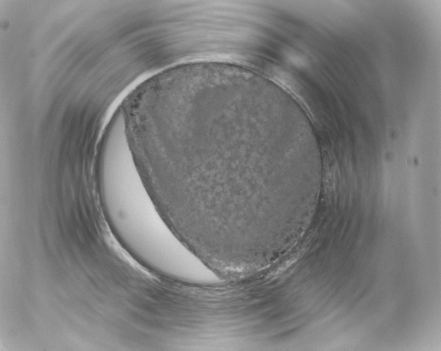 X0000052651092200507221835