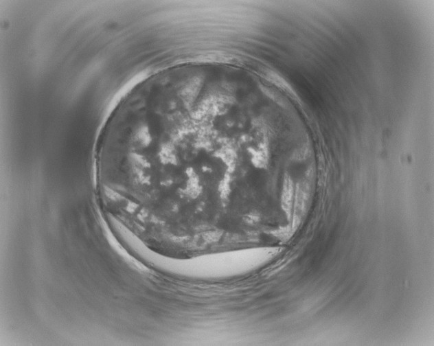 X0000052651095200507221835