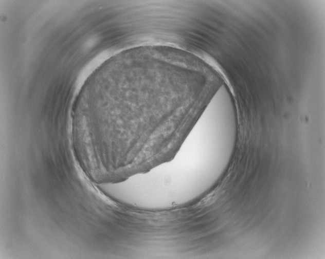 X0000052651096200507221835