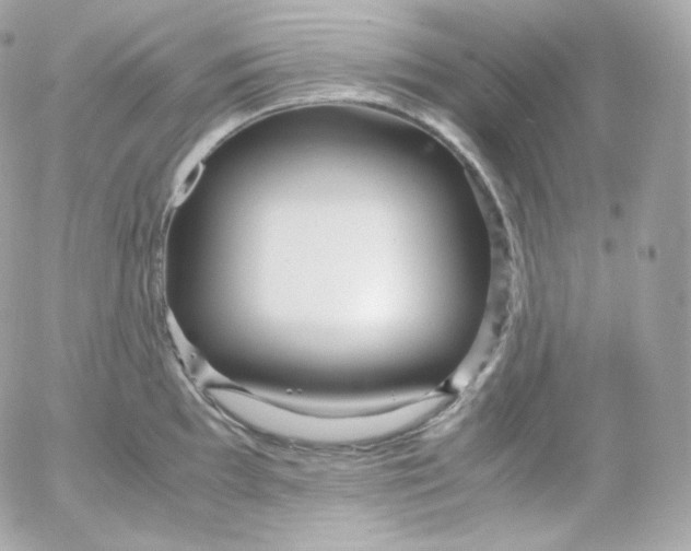 X0000052651097200507221835