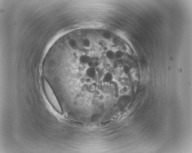 X0000052651099200507221835