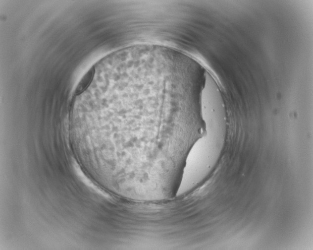 X0000052651100200507221835