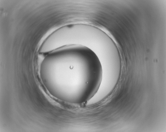 X0000052651101200507221835