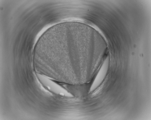 X0000052651102200507221835