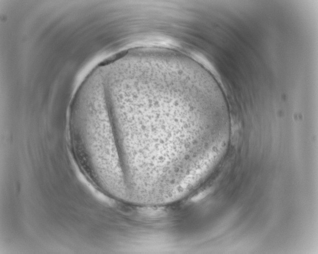 X0000052651103200507221835