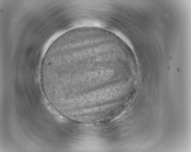 X0000052651104200507221835