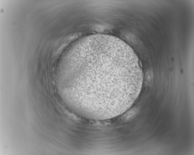 X0000052651105200507221834