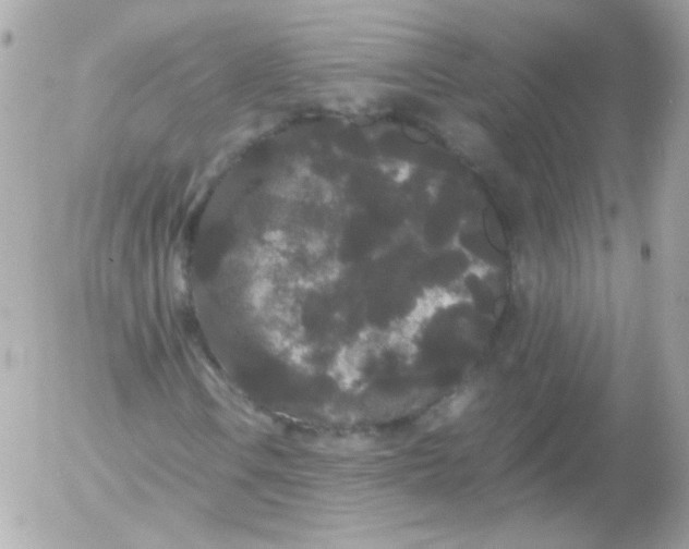 X0000052651106200507221834