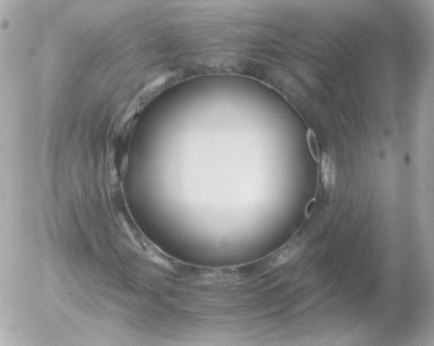 X0000052651107200507221834