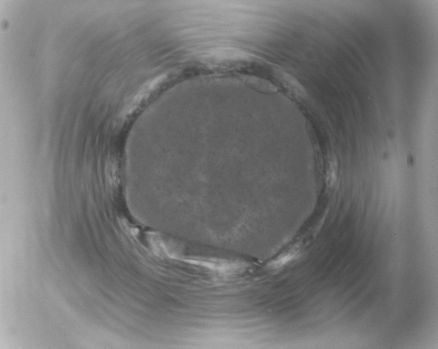 X0000052651108200507221834