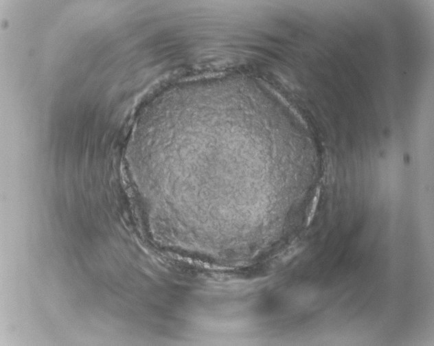 X0000052651109200507221834