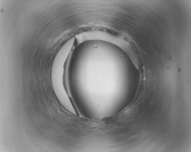 X0000052651110200507221834