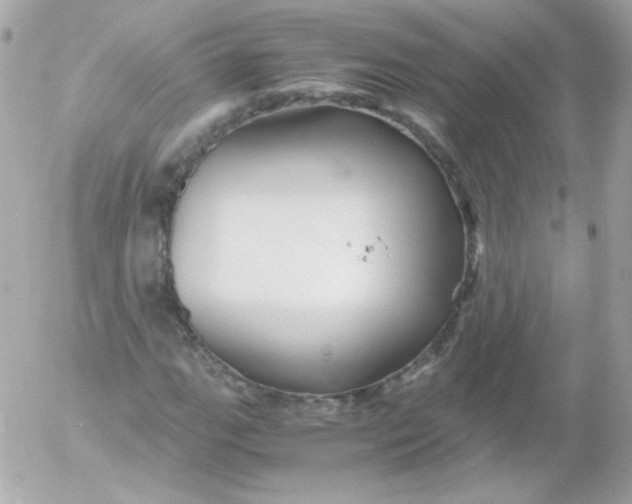 X0000052651111200507221834