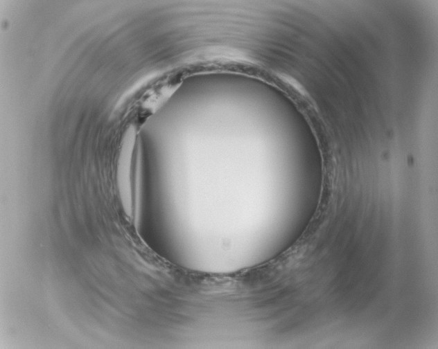 X0000052651112200507221834