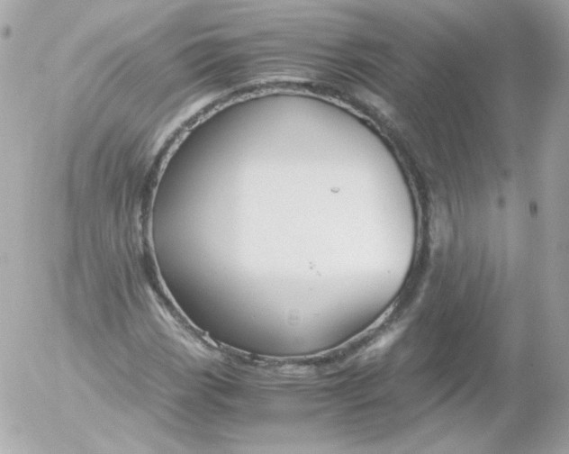 X0000052651113200507221834