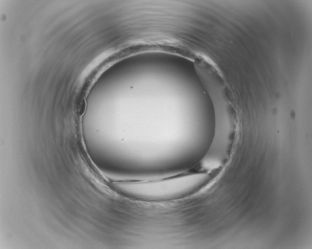 X0000052651114200507221834