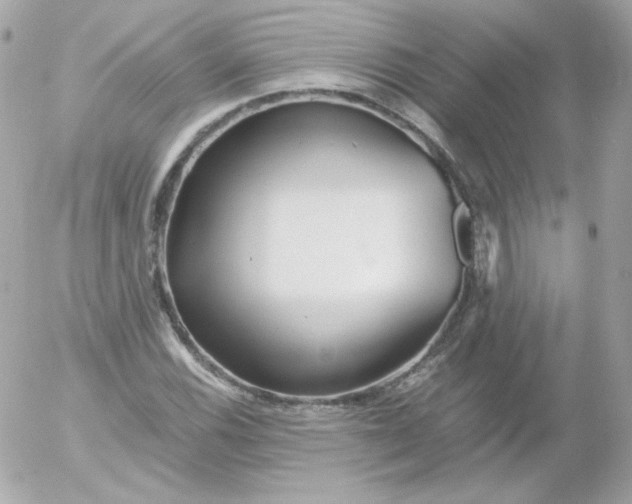 X0000052651116200507221834