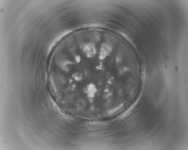 X0000052651117200507221834