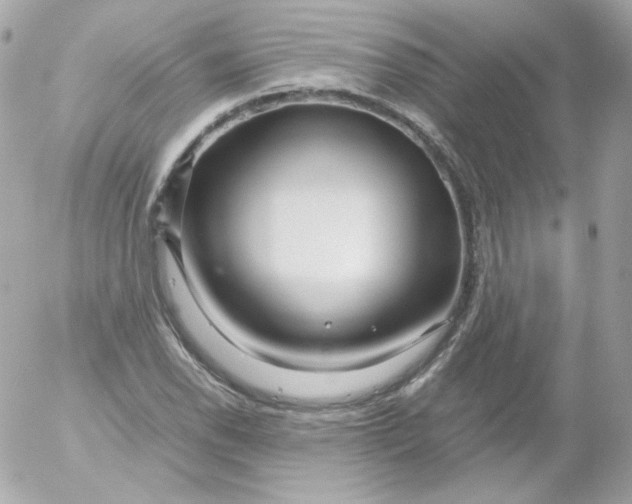 X0000052651118200507221834