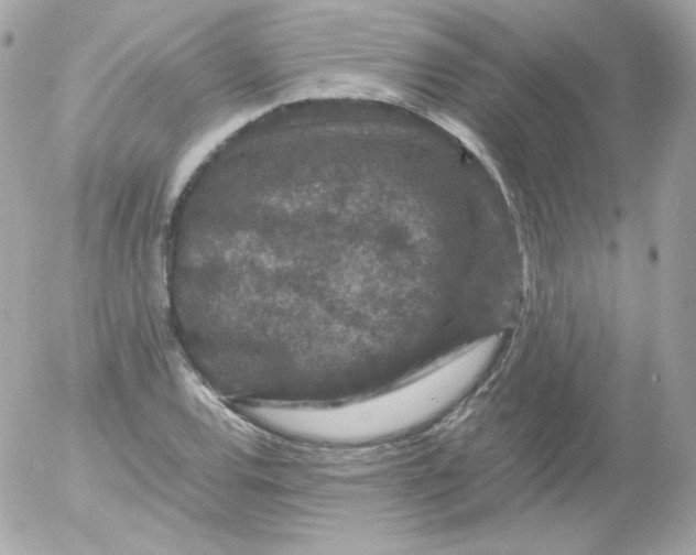 X0000052651120200507221834