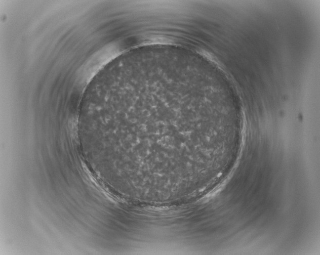 X0000052651121200507221834