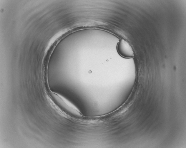 X0000052651122200507221834