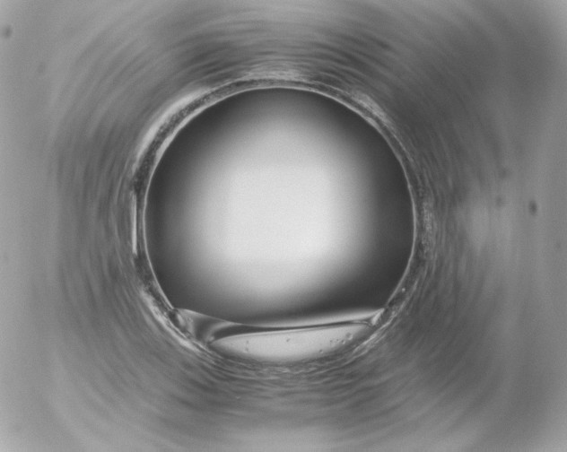 X0000052651123200507221834