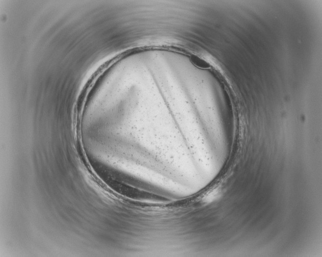 X0000052651124200507221834