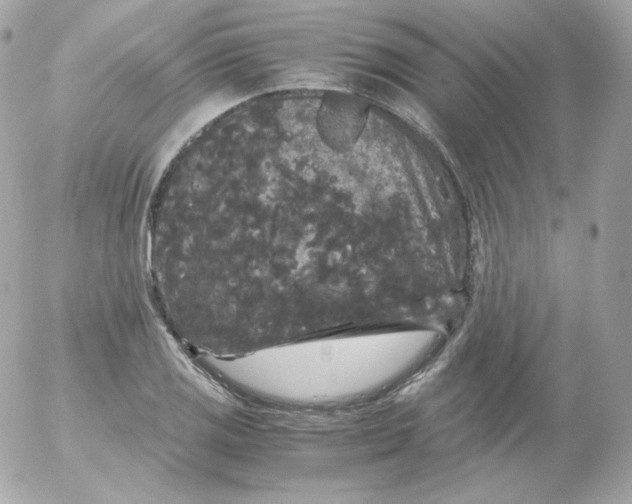 X0000052651125200507221835