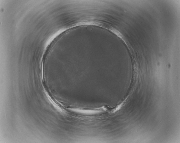 X0000052651127200507221835