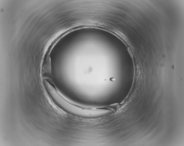 X0000052651128200507221835