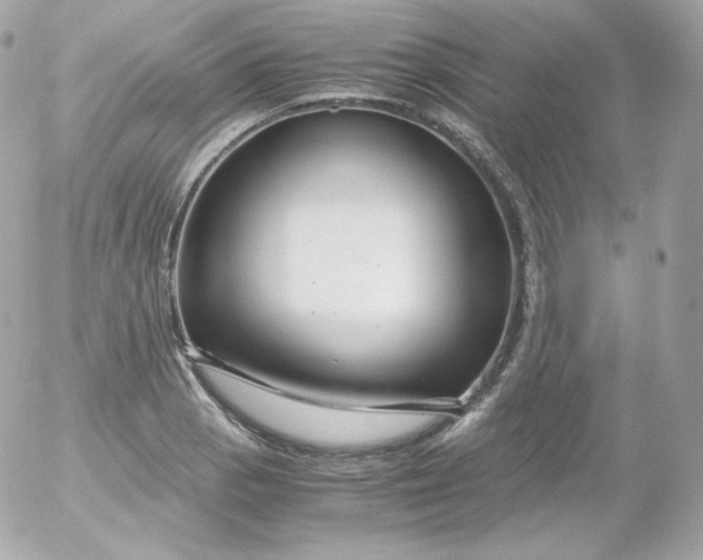 X0000052651129200507221835