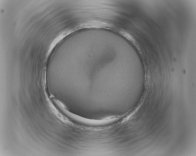 X0000052651130200507221835