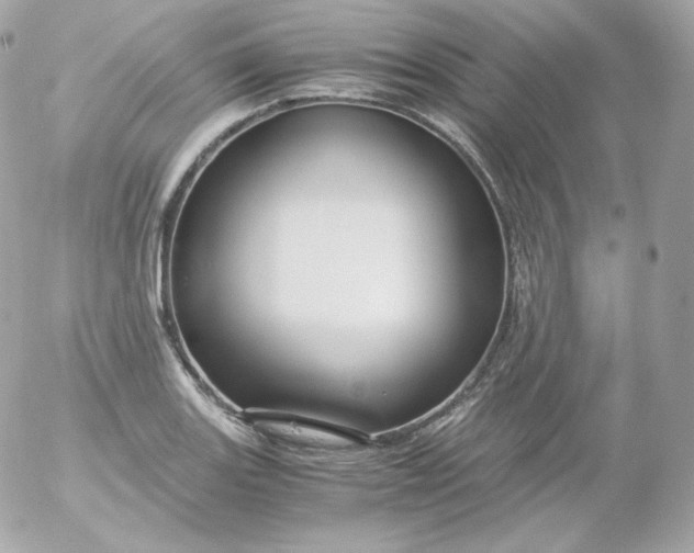 X0000052651131200507221835