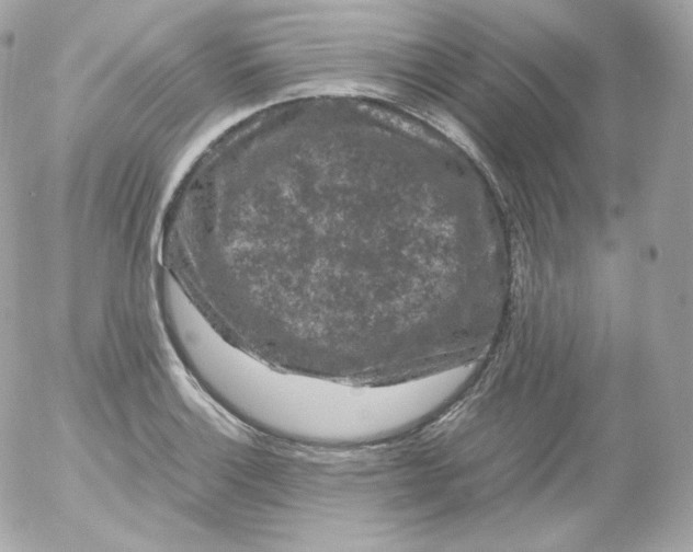 X0000052651132200507221835