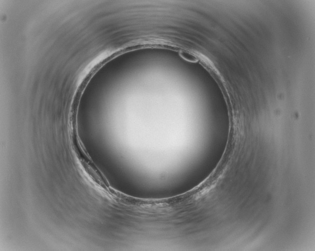 X0000052651133200507221835