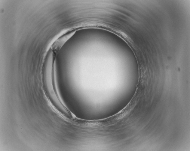 X0000052651134200507221835