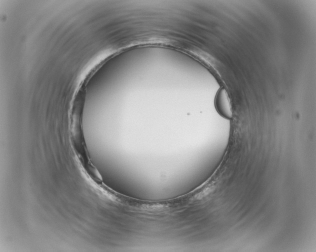 X0000052651135200507221835