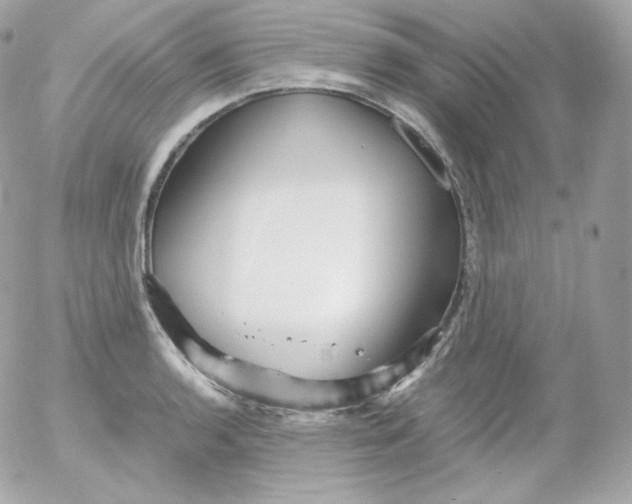 X0000052651136200507221835