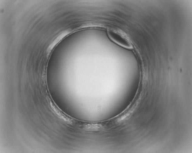 X0000052651137200507221835